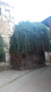 Capela Rugului Aprins, Manastirea Sinai